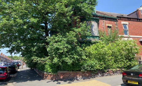 picture of a house covered by a tree and bushes